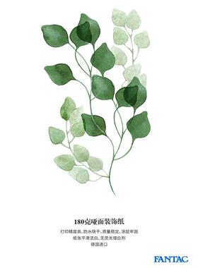 泛FANTAC泛太哑面装纸180克防水克饰喷纸艺术微彩喷画芯展览照打