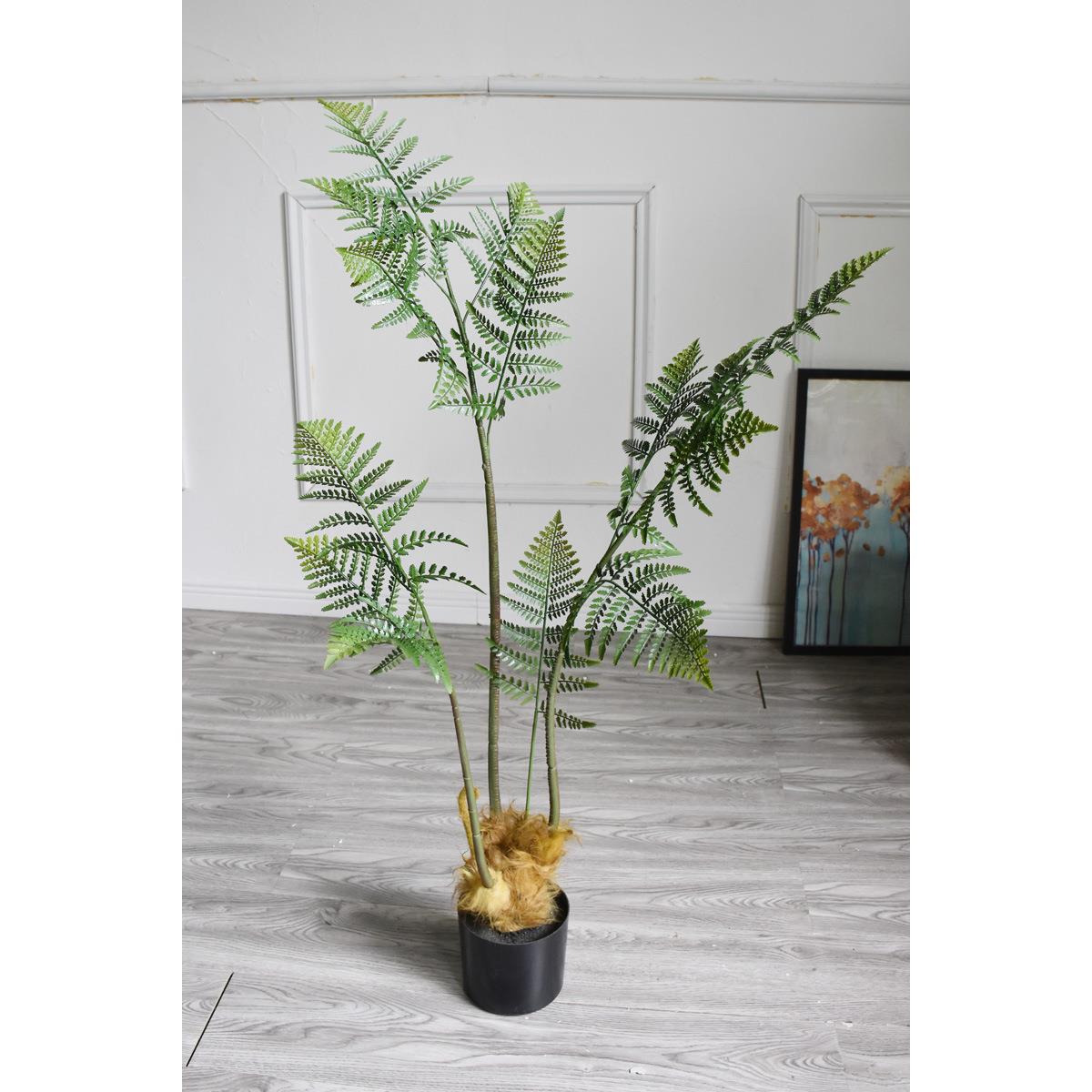金落丝猴树盆景蕨草树造型花地造ICA蕨景艺盆栽绿植真