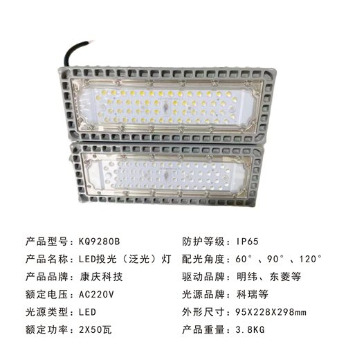NTC9280BLED投光灯100瓦壁挂