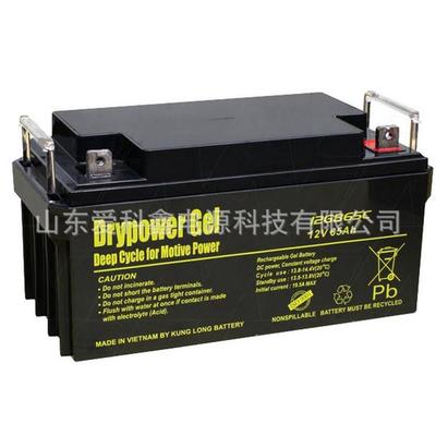 Drypower蓄电池12GB65C12v65ah太阳能直流屏铅酸蓄电池