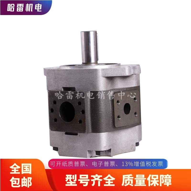 德国进口原装福伊特VOITH齿轮泵IPV7-200-101高压注塑机液压油泵