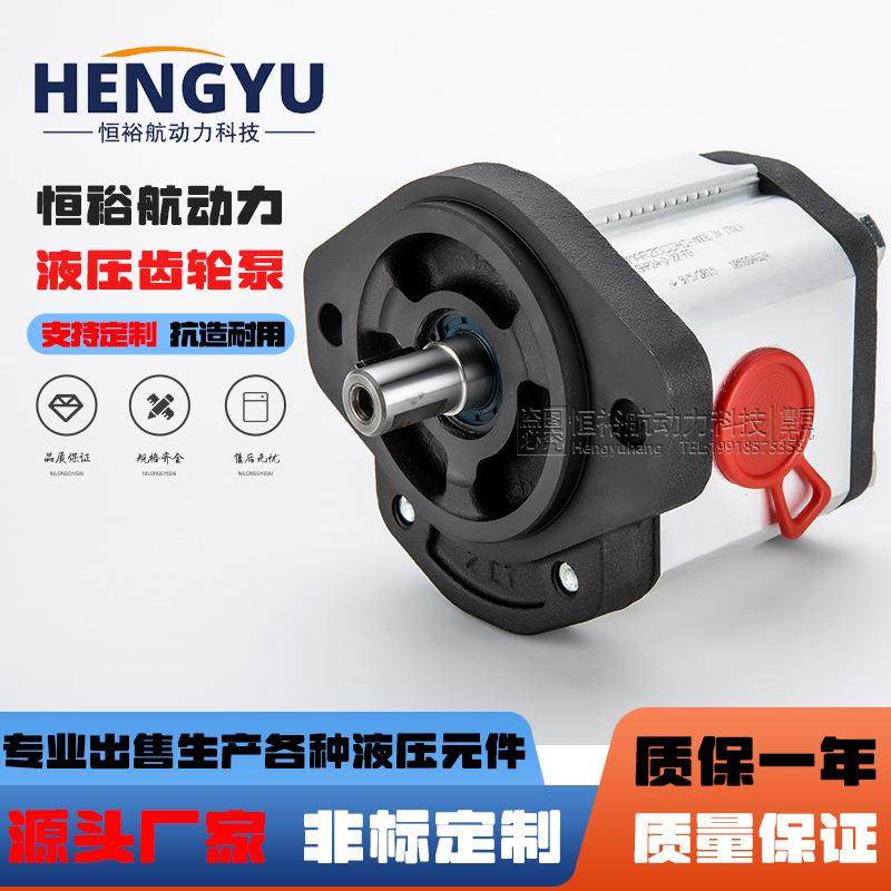 马祖奇MARZOCCHI高压齿轮泵GHP1A油泵GHP2A泵GHP3A液压泵压力