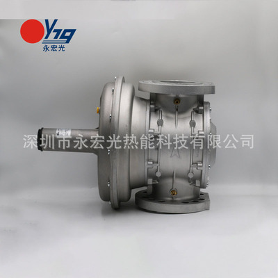 VRGA100比例阀朱丽安尼GIULIANI压力调节器燃烧机专用配件供应商