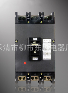 现货供应全新漏电断路器DZ20LE-400 /3P   200A 250A 315A 400A