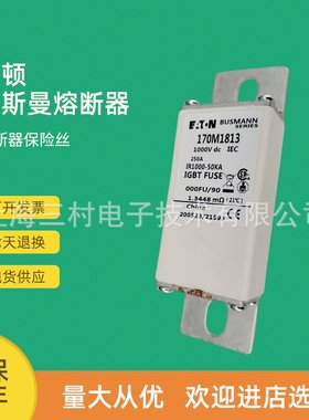 全新快速熔断器保险丝断路器大量现货170M1421 170M1422 170M1458