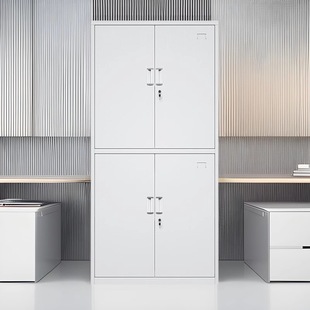 金亚伟创文件柜 钢制铁柜办公柜铁皮柜资料档案柜双节文件柜