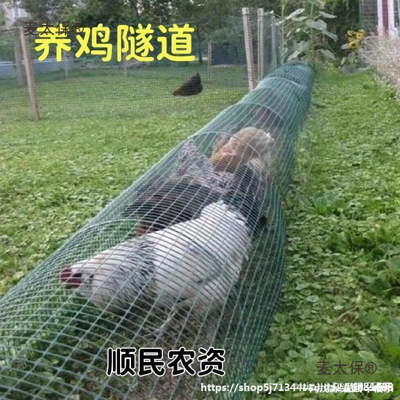 隧道养鸡养殖走地鸡专用的跑道移动室外溜达鸡笼子散养鸡竹