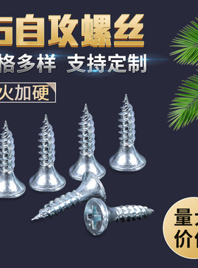 厂家供应白色高强度普通16自攻螺钉攻牙螺丝钉pa十字圆头自攻螺丝