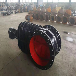 Z941T-10Q DN700-Z41T-10Q 明杆铸铁闸阀 本体密封手动闸阀 手动