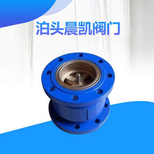 供应HC41X消声止回阀DN100球墨铸铁立式速闭止回阀开关灵活