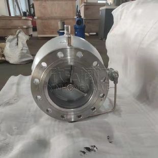 欣弘阀门 球墨铸铁大口径 LHS743X 16P不锈钢低阻力倒流防止器