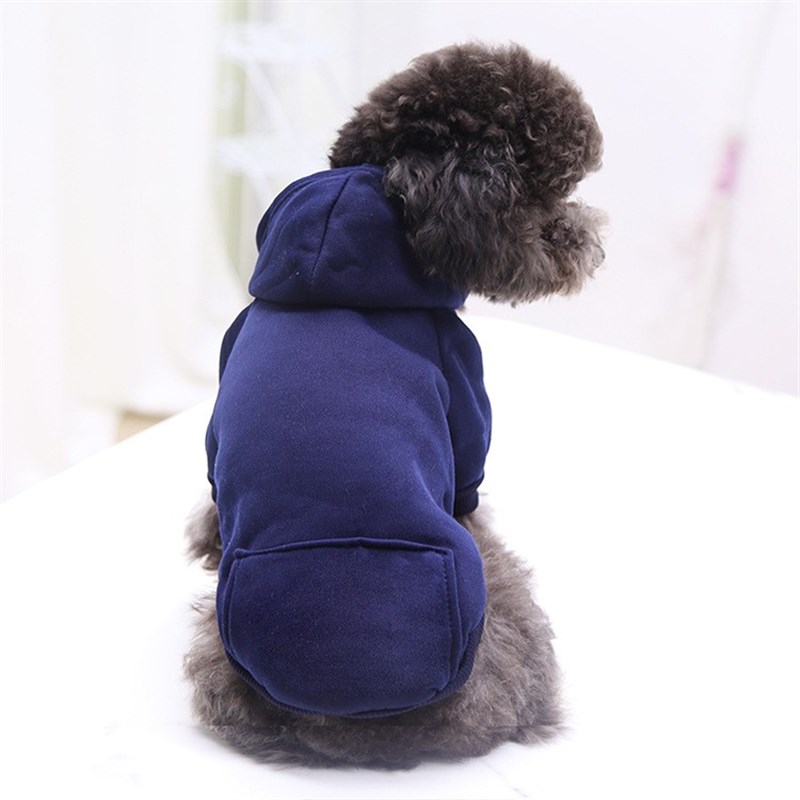 速发P Dog os  a Dogs othig Wm othig