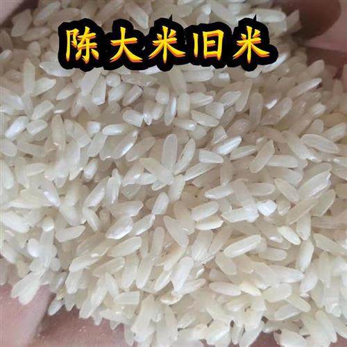 碎米低价便宜米打窝碎米喂鸡碎米熬粥碎米钓鱼碎米喂猪次品大米