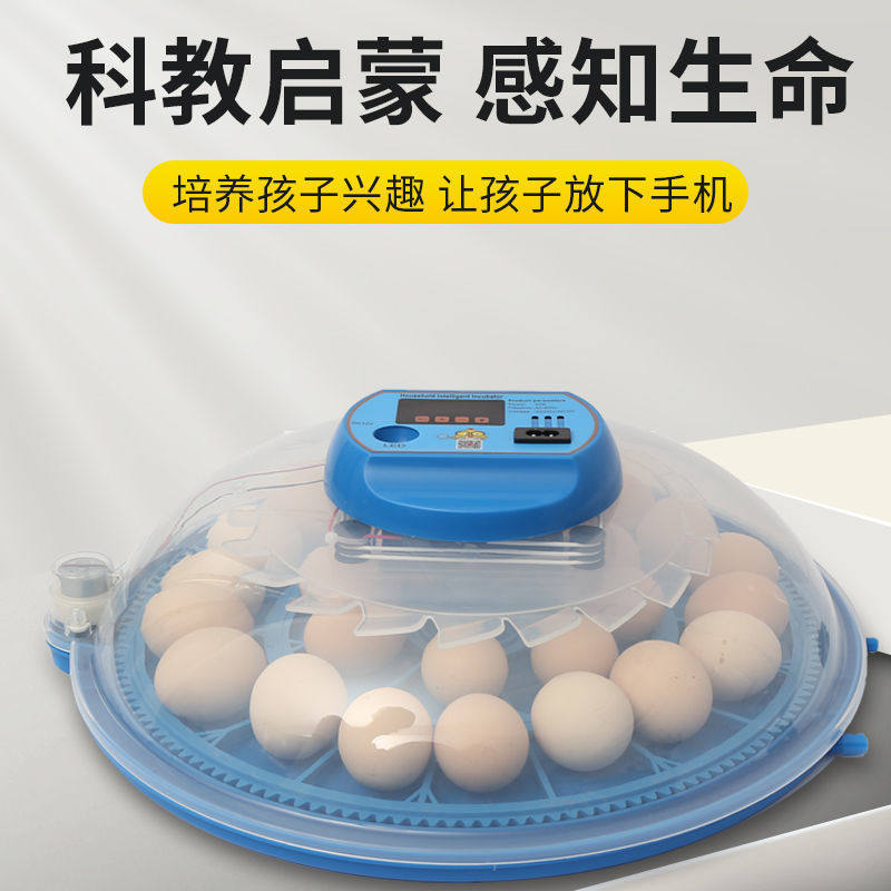 1/4吋套筒扳手碟孵化器小型家用卢丁鸡孵化器全自动智能孵化机迷