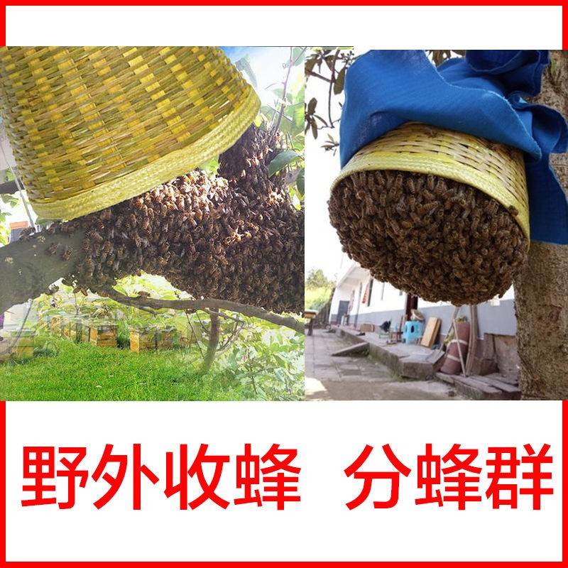 新式收蜂笼竹编蜜蜂专用全套大号招蜂笼野外引蜂养蜂捕蜂器工具