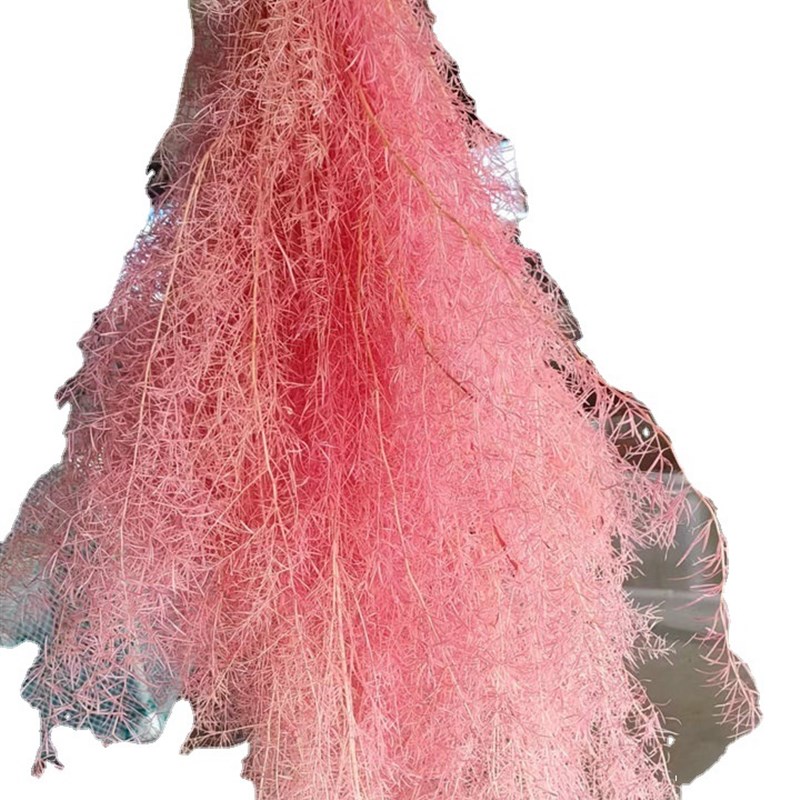 永生天门冬干花迷雾花婚庆装饰花材diy礼盒玻璃罩浮游配材