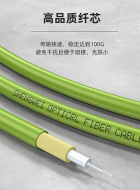 胜为(shengwei)工程电信级万兆光纤跳线LC-LC网线多模双芯OM5网络