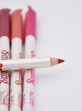 12 Colors/Set Lip Liner Sexy Lips Pencil Matte Soft Lipstick