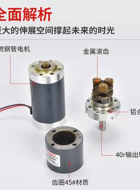行星001直流型微减速电机2伏XC4PG455S变速马达214V低速齿轮大扭