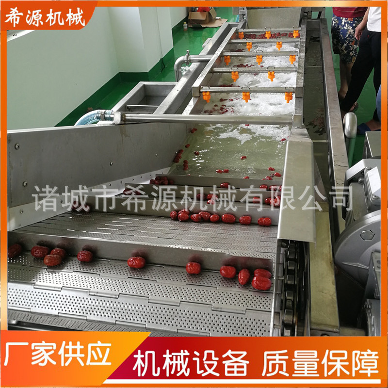 大枣葡萄干清洗机 鼓泡式洗山野菜蕨菜果蔬机 XY4000型蔬菜清洗机