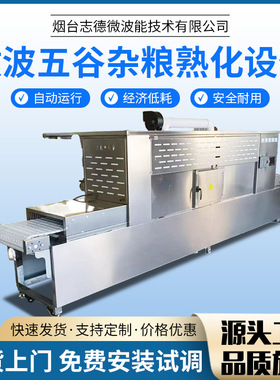 柜式盒饭二次快速加热设备 五谷杂粮微波熟化设备黄粉虫微波膨化