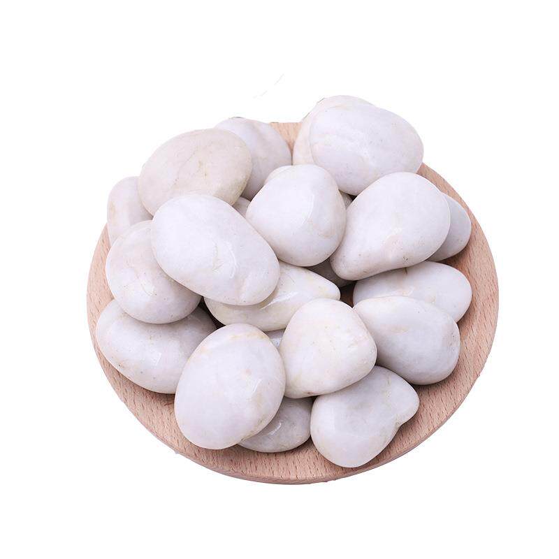 白色抛光鹅卵石江苏园林铺路雨花石头鱼缸造景园艺盆栽高光石块