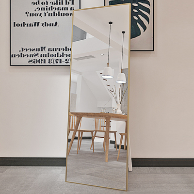 全身镜落地家用女生卧室挂墙宿舍网红立式大镜子立体穿衣试衣镜