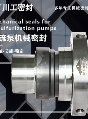 密封碳化硅密封件 ZCWZ-96/65KDT-A\KD/KDT65-40 旋转机械密封