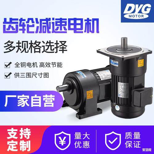 DYG东洋齿轮减速电机正反转