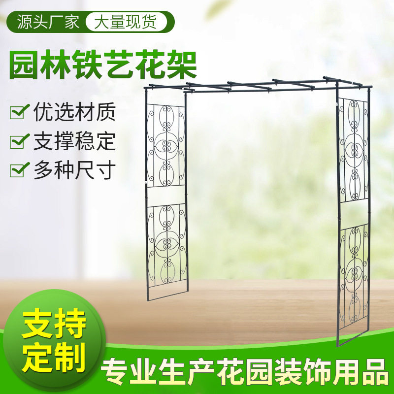 欧月藤葡萄爬藤支架地插