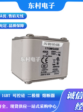 熔断器170M5408 170M5409 170M5410 170M5411 170M5412全新现货