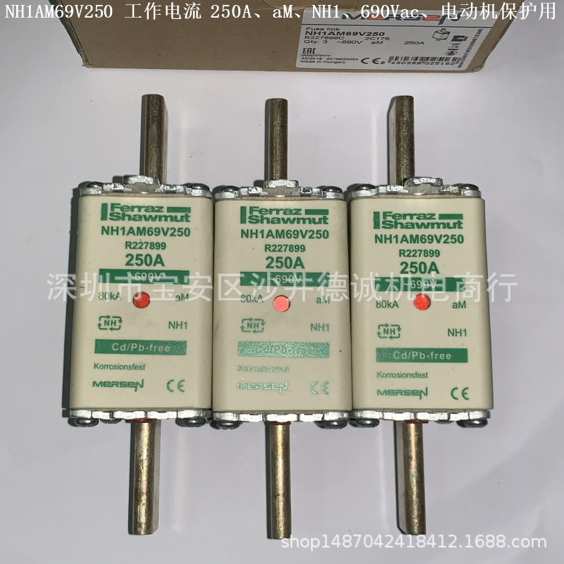 NH1AM69V40 G227890 熔断器 40A、NH1、aM、690Vac、电动机保护