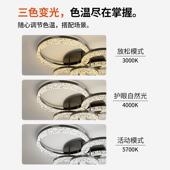 吊灯客厅主灯2025新款 轻奢中山灯具全屋 现代简约大气吸顶灯意式