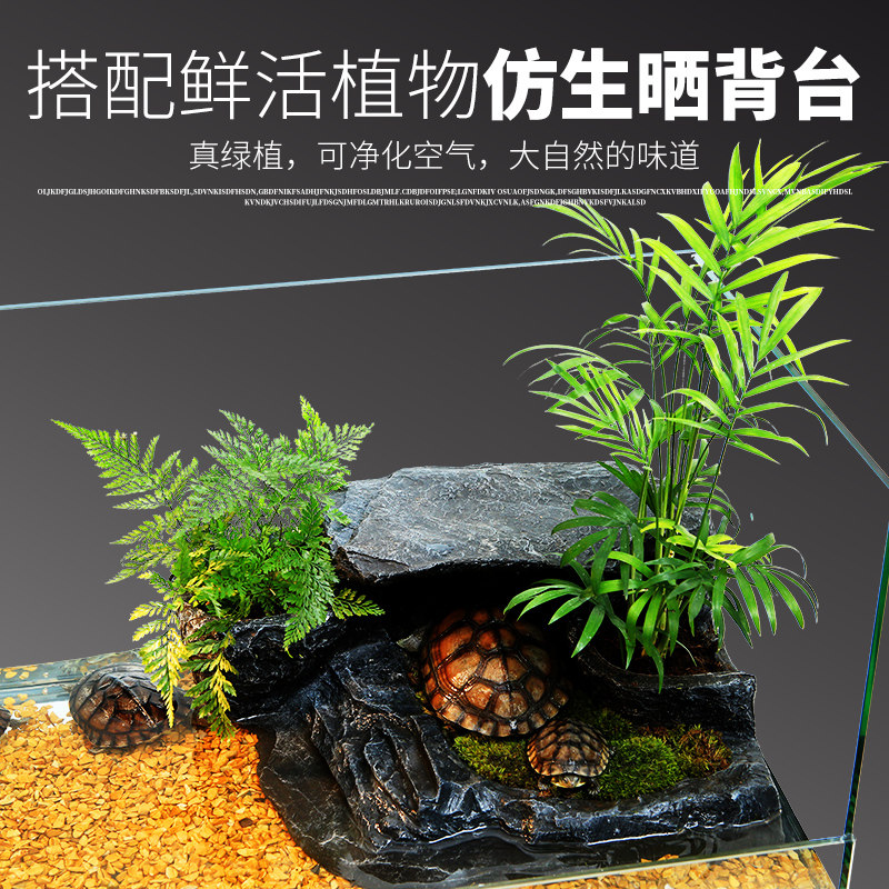 乌龟缸大型带晒台造景养龟箱玻璃客厅小型专用家用龟鱼混养生态缸
