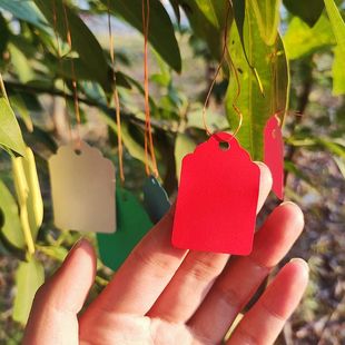 园艺标签苗木吊牌多肉小挂牌花卉牌PVC彩色植物塑料吊签书写牌子
