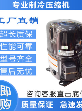 冷库压缩机TAG2522Z/TAG2516Z/TAG2511Z/TAG2522K泰康低温压缩机