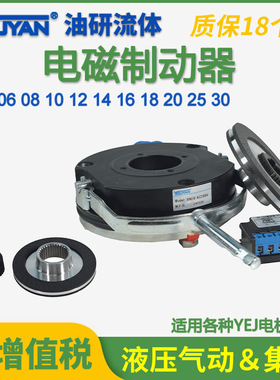 BN06/08/10/12/14电磁安全制动器BN16/18/20/25/30电机YEJ刹车盘