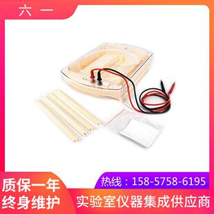 北京六一DYCP-38C型卧式水平电泳仪