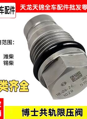 玉柴潍柴雷诺康明斯解放J6P博士原厂共轨泄压阀溢流阀限压阀