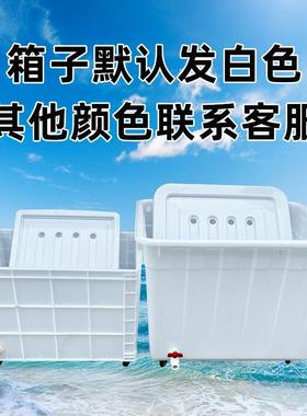 特号带轮水20609子周殖转箱养龟带排口养鱼水箱带孔水产养带轱大