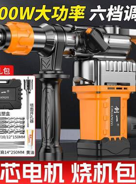 电锤电镐两大功率多功能电锺用家用冲击捶73641钻打混凝土业工爆