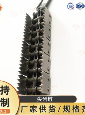 C2050-F双链非标链排条双齿链传输62369工1业链条传动链条厂家直