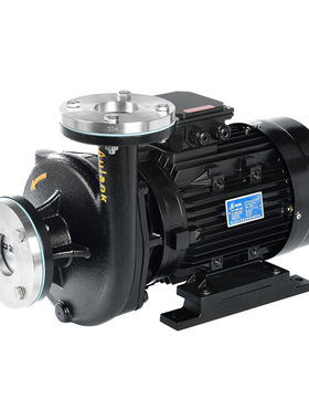 奥兰克热油泵高温泵奥德模温机泵RGP-10-20-30aulank厂家直销