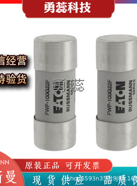 保险丝熔断器    FWP-100G22F   FWP-20G22FI  FWP-25G22FI