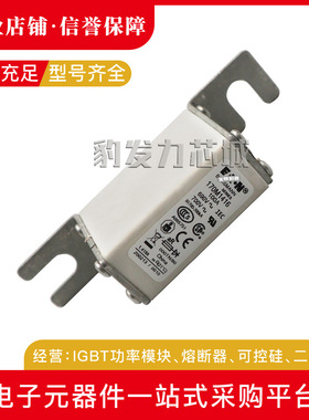 170M1419 170M1420 170M1421 170M1422全新熔断器现货