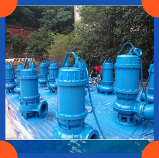 wq无堵塞潜水排污泵 0.75KW污水提升泵220V单相 污水泵50WQ10