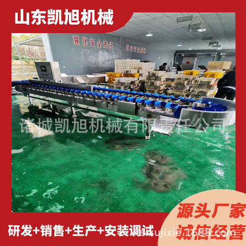 小型选果机 水果自动筛选分果机 热情果释迦果多规格分级设备