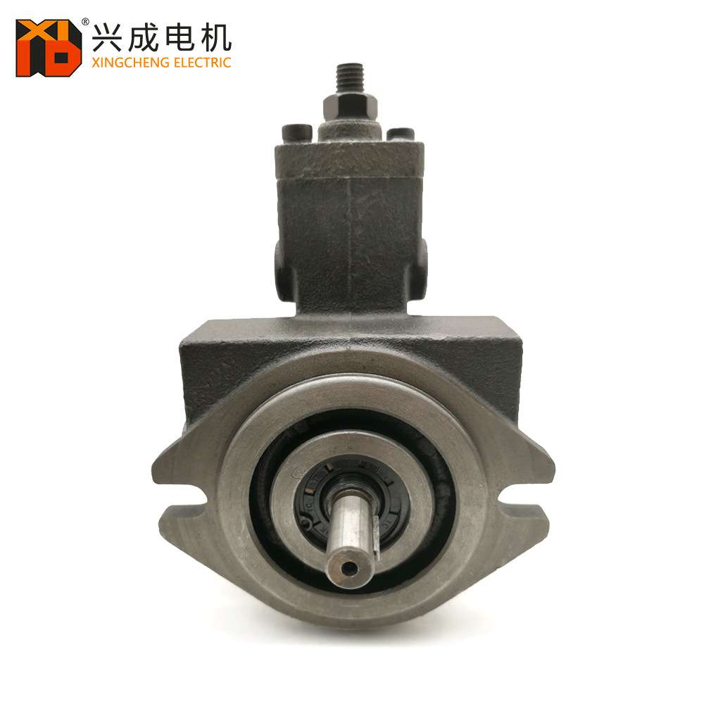 VARIABLE VANE PUMP液压油泵铸铁VP-SF-15液压泵站平键变量叶片泵