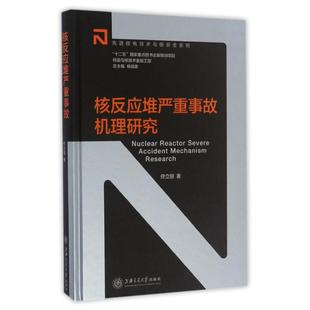 正版 核反应堆严重事故机理研究佟立丽杨福家上海交通大学出版 社 图书