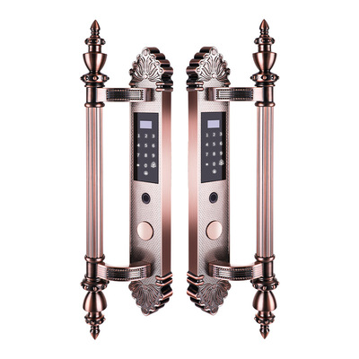 别墅大门指纹锁双开门智能密码锁家用防盗门锁欧式远程配假锁